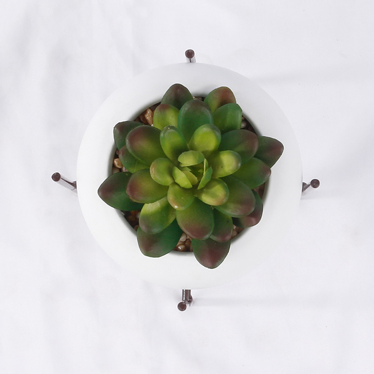 Plastic-Plants-Artificial-Succulent-Gardening-Decoration-Succulents-Bonsai (4).jpg